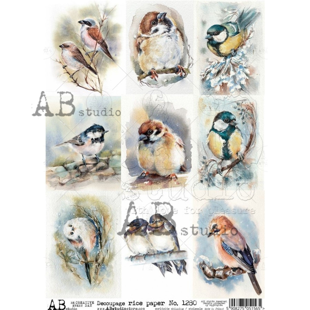 AB Studios Rice Paper 9 PACK WATERCOLOR BIRDS A4 1280