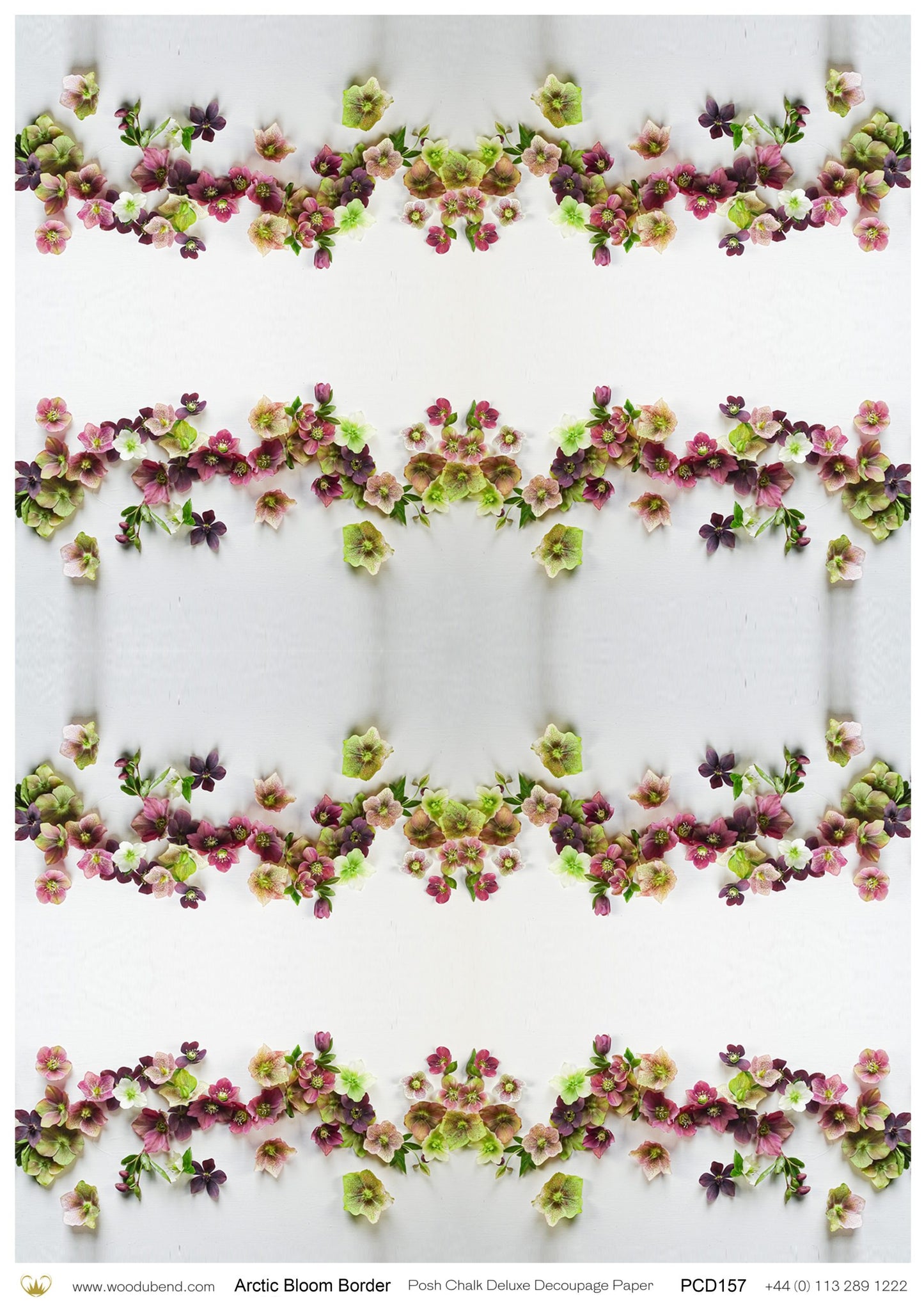 Posh Chalk Deluxe Decoupage Paper ARTIC BLOOM BORDER A3 (11.7 X 16.5 INCHES)