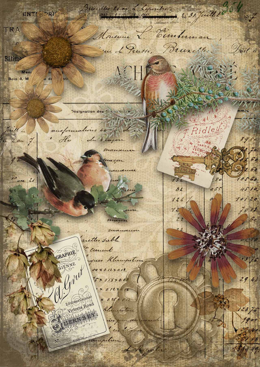 Decoupage Queen Autumn Birds A3 (11.7 X 16.5 INCHES)