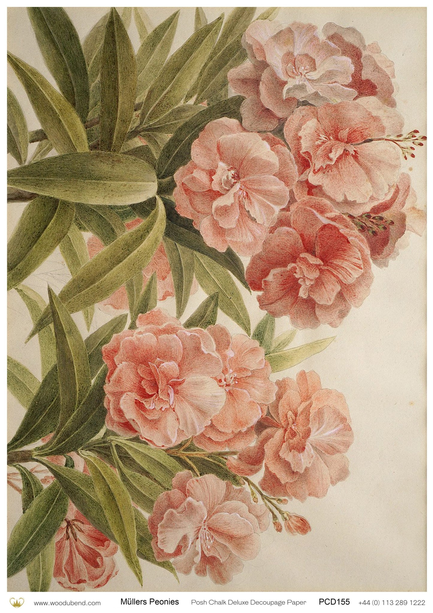 Posh Chalk Deluxe Decoupage Paper MULLERS PEONIES A3 (11.7 X 16.5 INCHES)