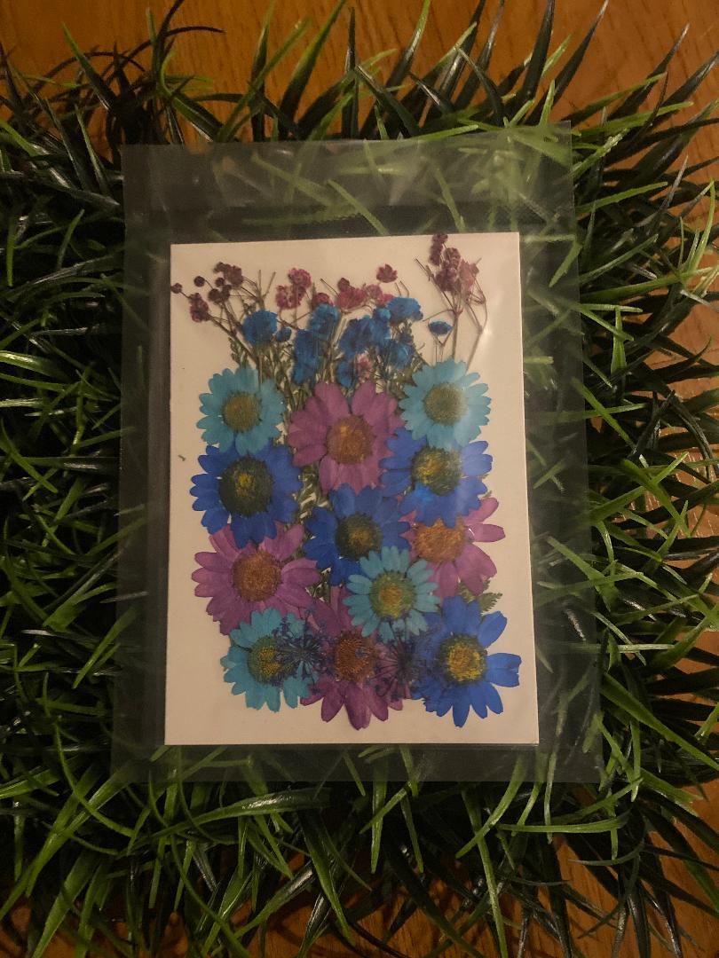 Pressed Flowers , greens