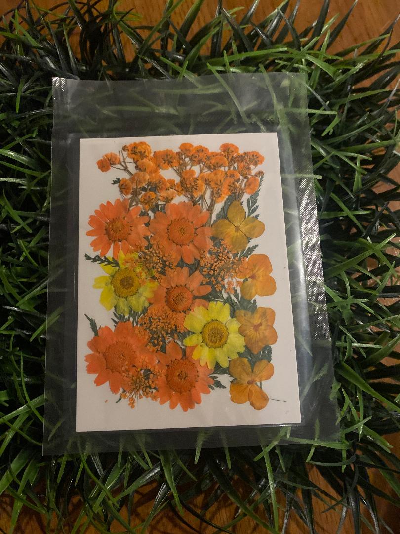 Pressed Flowers , greens