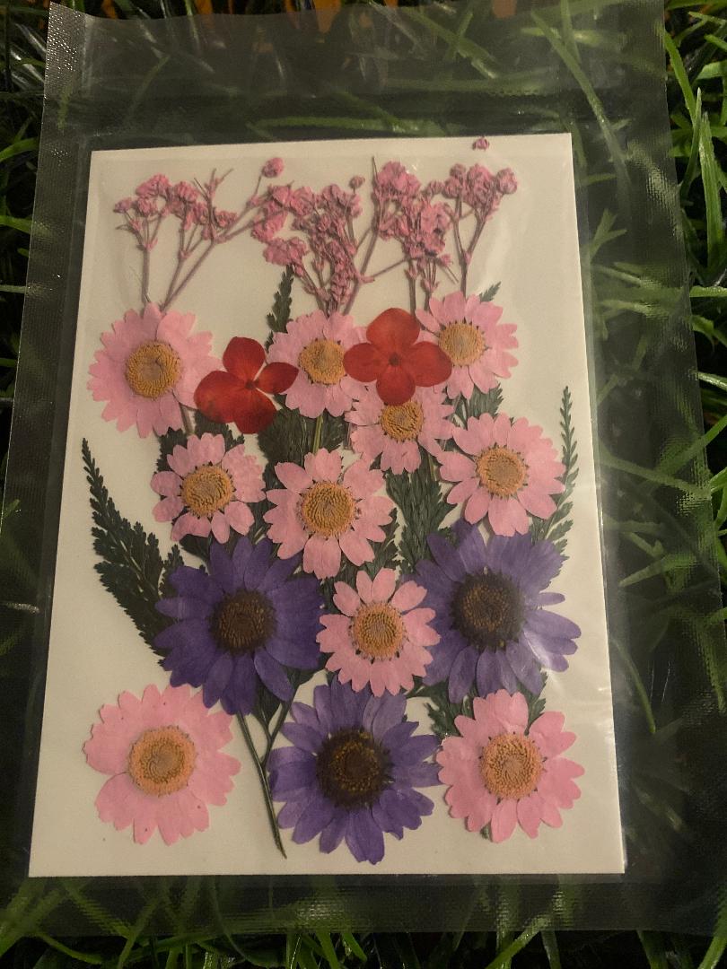 Pressed Flowers , greens