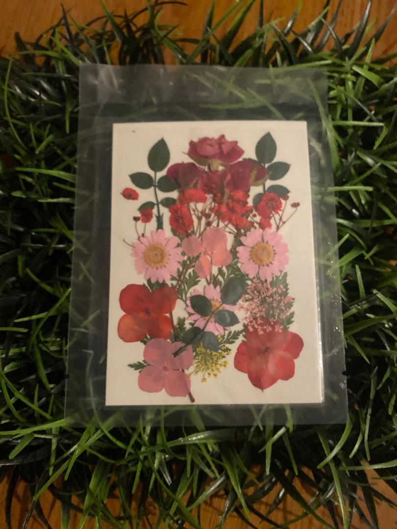 Pressed Flowers , greens