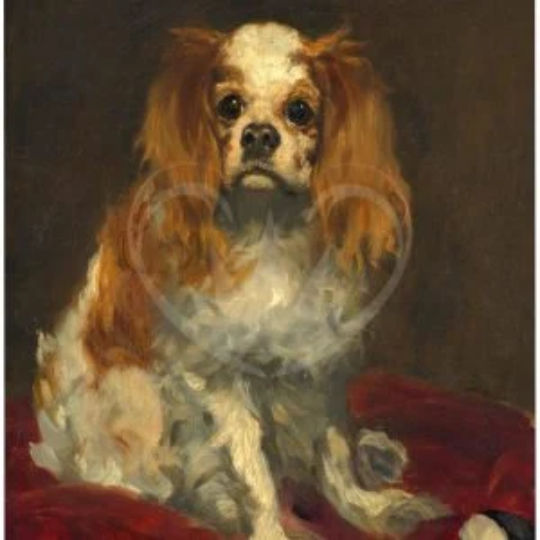 Posh Chalk Deluxe Decoupage Paper Spaniel A1 (23.4 x 33.1 inches)