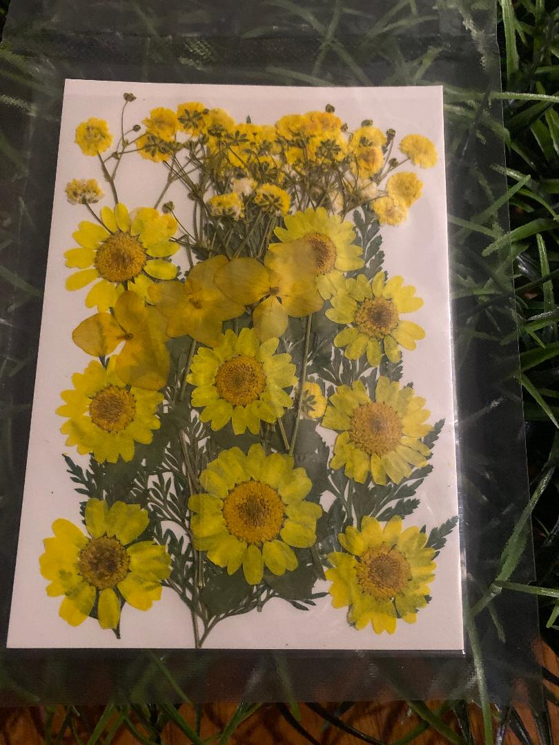 Pressed Flowers , greens