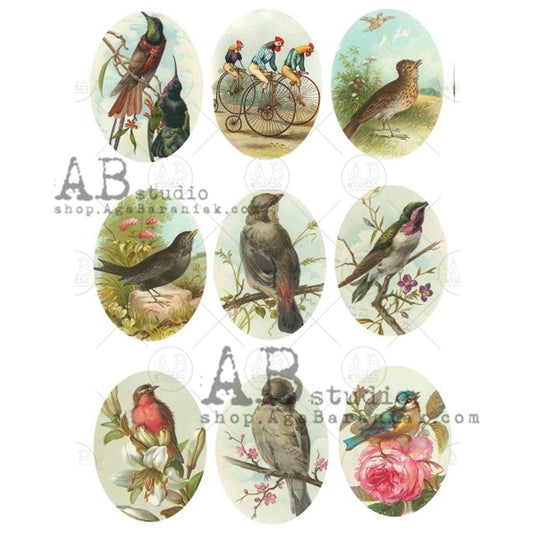 AB Studios Rice Paper BIRD CAMEOS A4  0563