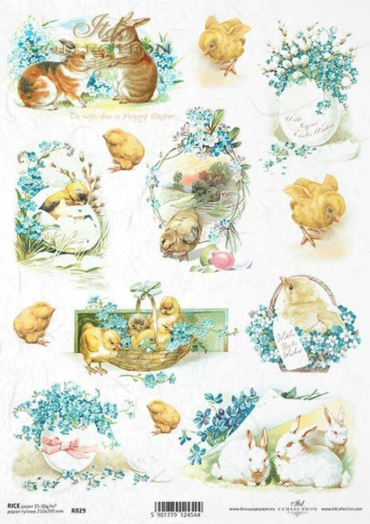 ITD COLLECTION  Rice Paper EASTER CHICKS & FORGET ME NOTS  A4 ( 8.3 X 11.7 INCHES)