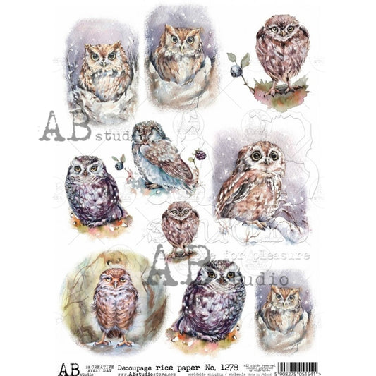 AB Studios Rice Paper 9 PACK WATERCOLOR OWLS A4  1278