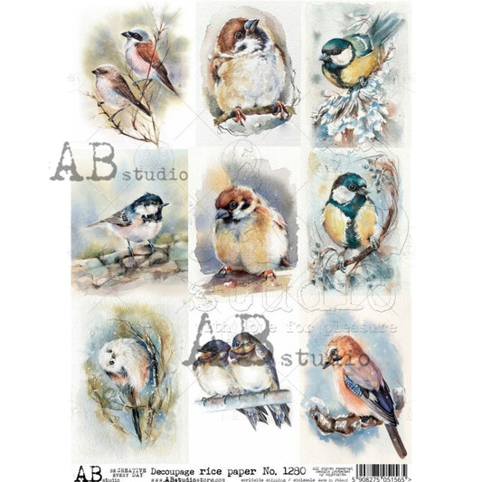 AB Studios Rice Paper 9 PACK WATERCOLOR BIRDS A4  1280