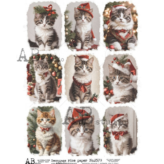 AB Studios Rice Paper 9 Pack Christmas Kittens A4 2579