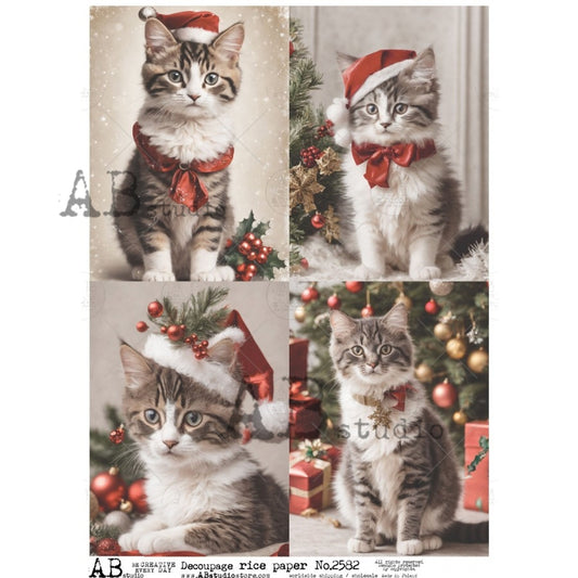 AB Studios Rice Paper 4 Pack Christmas Kittens A4 2582