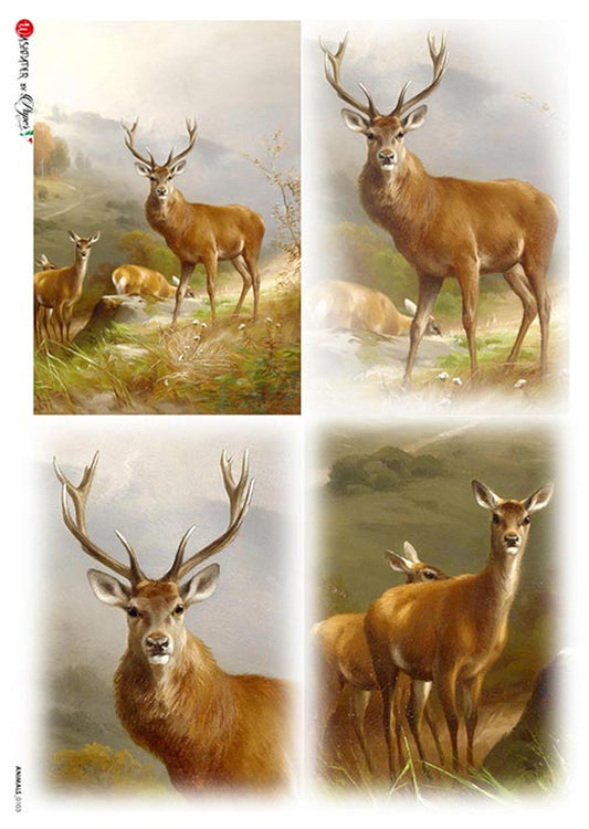 Paper Designs ANIMALS 0103  DEER IN FOREST 4 PACK RICE PAPER A4 (8.3 X 11.7 INCHES)
