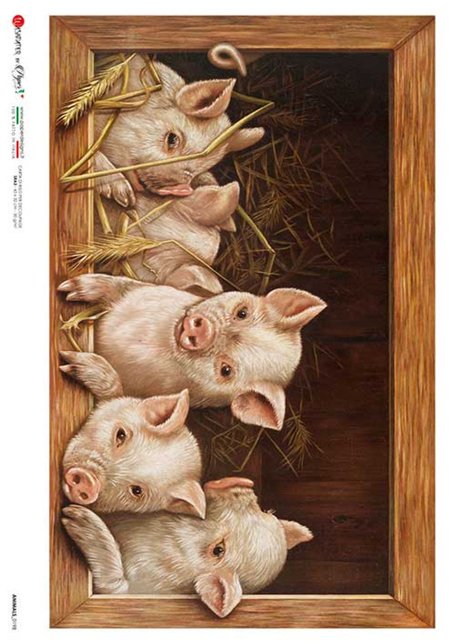 Paper Designs ANIMALS 0198 WIND0W WITH PIGS IN BARN RICE PAPER A4 (8.3 ...