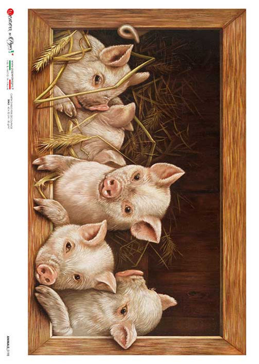Paper Designs ANIMALS 0198  WIND0W WITH PIGS IN BARN RICE PAPER A4 (8.3 X 11.7 INCHES)