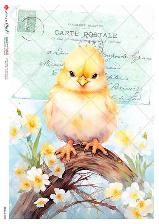 Paper Designs CHICK AND DAISIES  ANIMALS 0238 A4 (8.3 X 11.7 INCHES)
