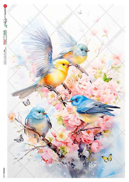 Paper Designs COLORFUL BIRDS WITH PINK FLOWERS ANIMALS 0241 A4 (8.3 X 11.7 INCHES)