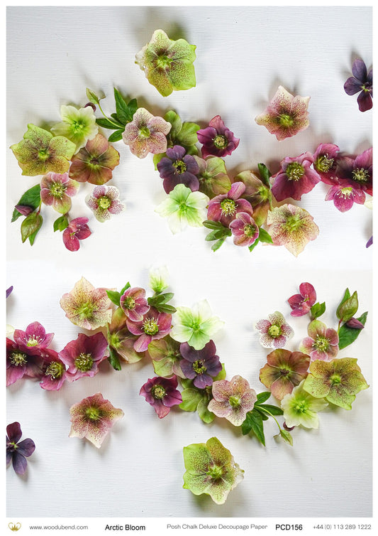 Posh Chalk Deluxe Decoupage Paper ARTIC BLOOM A3 (11.7 X 16.5 INCHES)