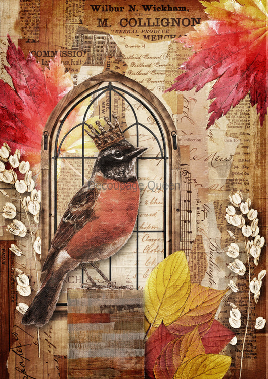 Decoupage Queen  Crowned Robin A4 (8.3  11.7 INCHES) fall 24