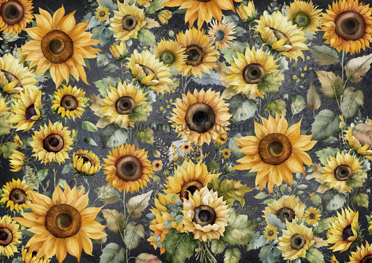 Decoupage Queen Field of Sunflowers  Rice Paper A4 (11.7X 8.3 INCHES)