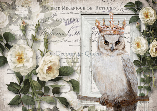 Decoupage Queen, WISE FRIEND Rice Paper A4 (11.7 X 8.3 INCHES) 0559