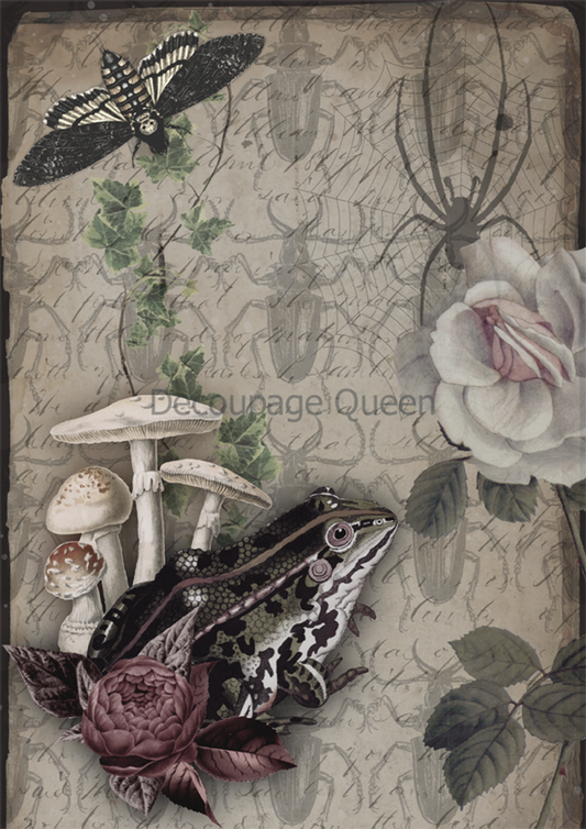 Decoupage Queen Dainty and the Queen Diary Entries A4 (8.3  11.7 INCHES) fall 24