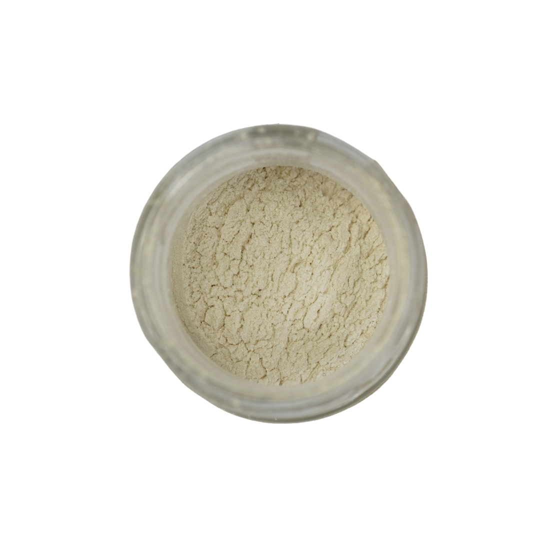 Posh Chalk Precious Pigment 3 colors are available