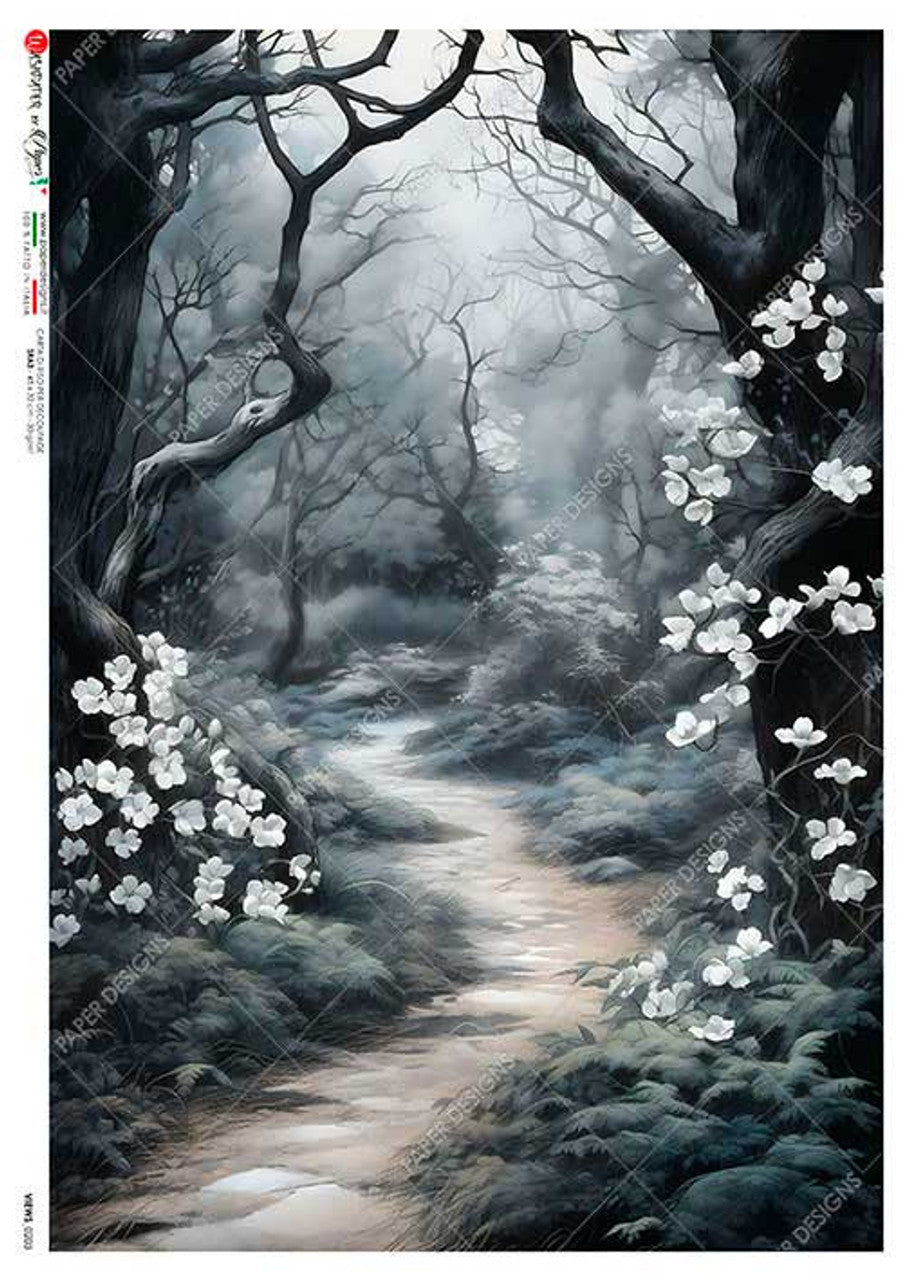 Paper Designs Dimly Lit Wooded Path  A3 (11.7inches X 16.5 inches) 0203