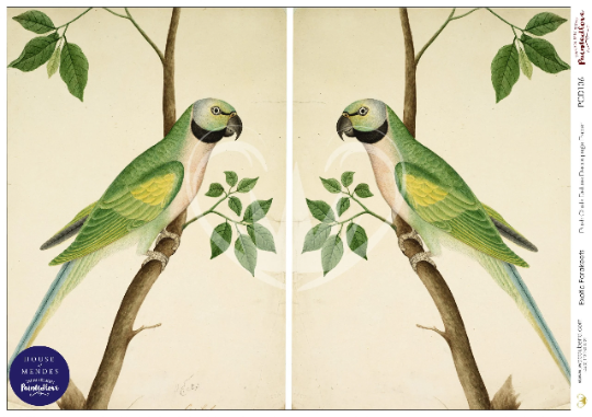 Posh Chalk Deluxe Decoupage Paper Exotic Parakeet A3 (11.7 X 16.5 INCHES)
