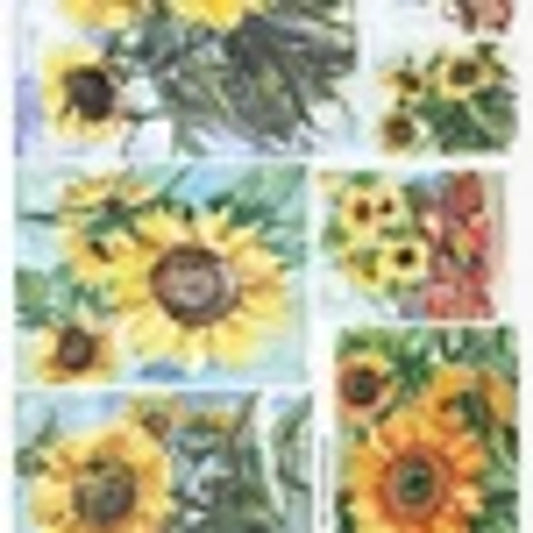 ITD COLLECTION SUNFLOWER FRAMES RICE PAPER A4 (8.3 X 11.7 INCHES)
